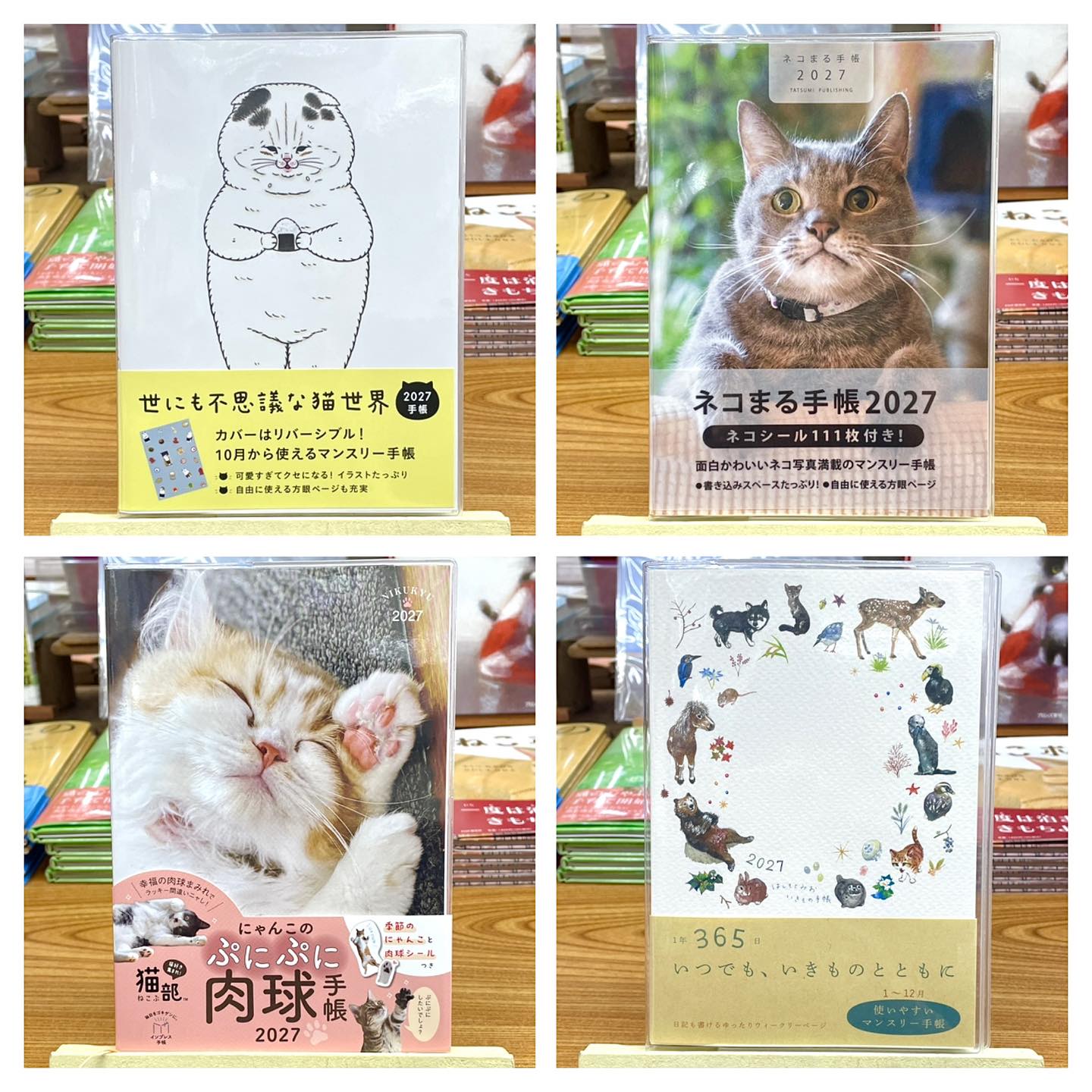 TVに飽きたら、笑って、萌キュン❤️タイム 表紙のネコたち…実は全員
