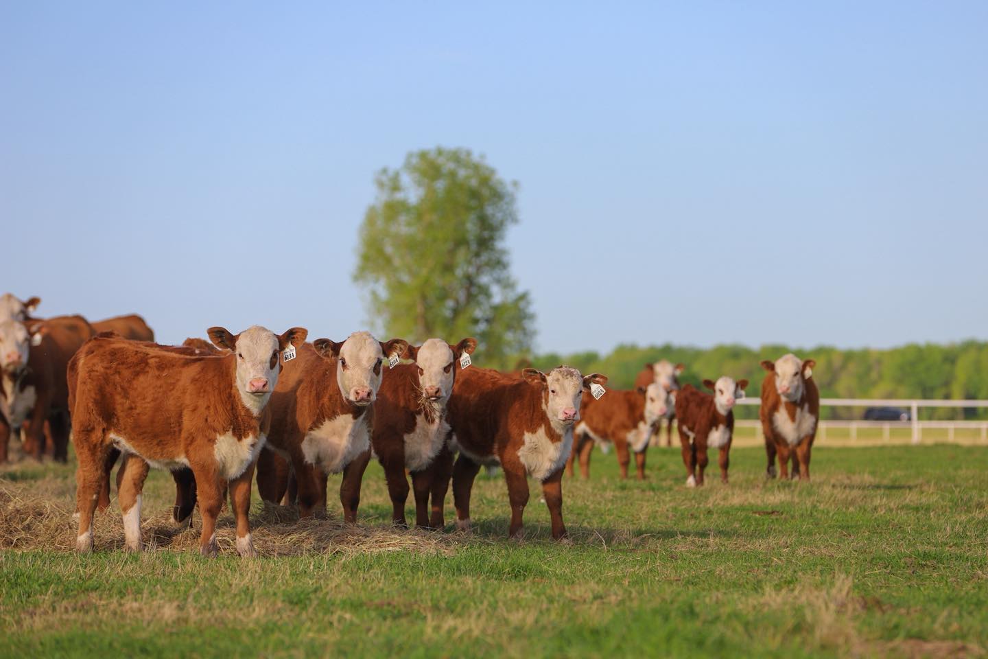 Express Ranches | Yukon OK