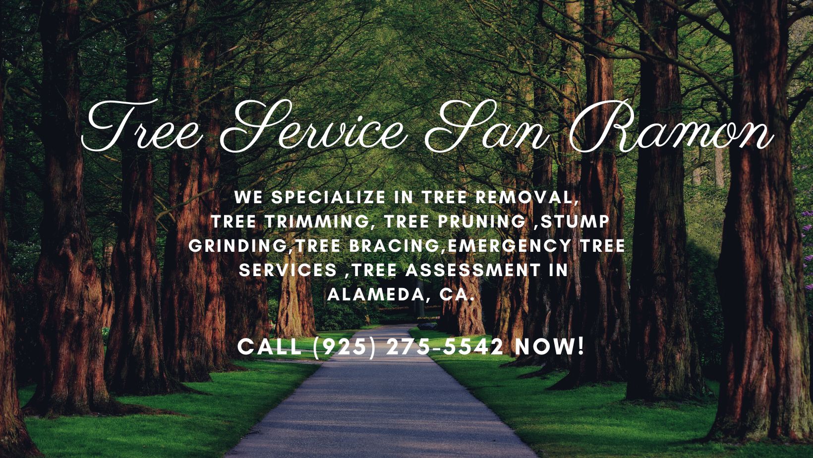 Tree Service San Ramon | San Ramon CA