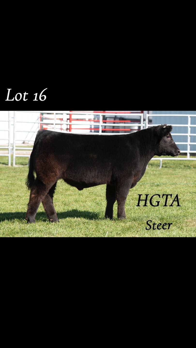 Butler Farms Show Cattle | Inwood WV