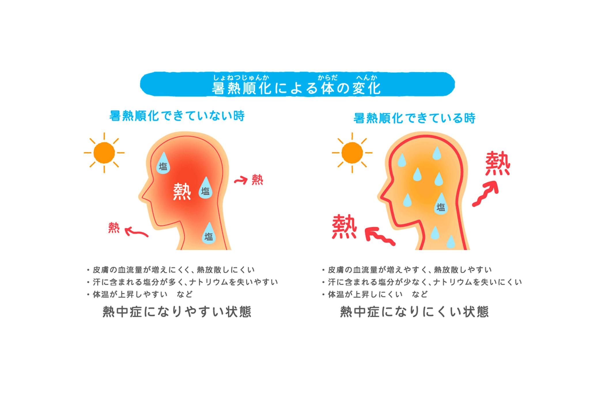 岡山県津山市広報（秘書広報室） - 【暑さに慣れて熱中症を予防しよう】 暑熱順化は「体が暑さに慣れる」ことです。 暑い日が続くと、体は次第に暑 ...