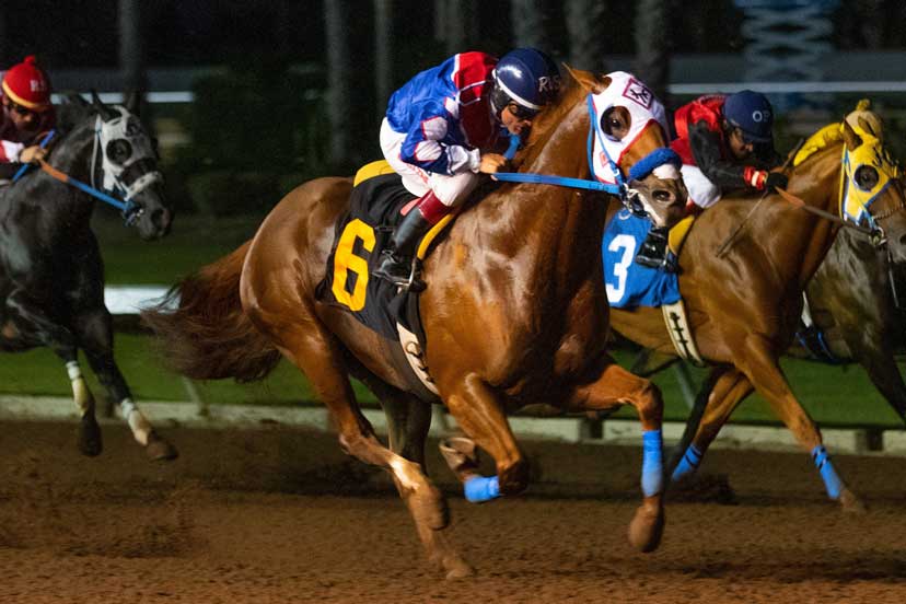 Q-Racing - Steve Holt and Jeff Jones’ Empressum, a six-time AQHA ...