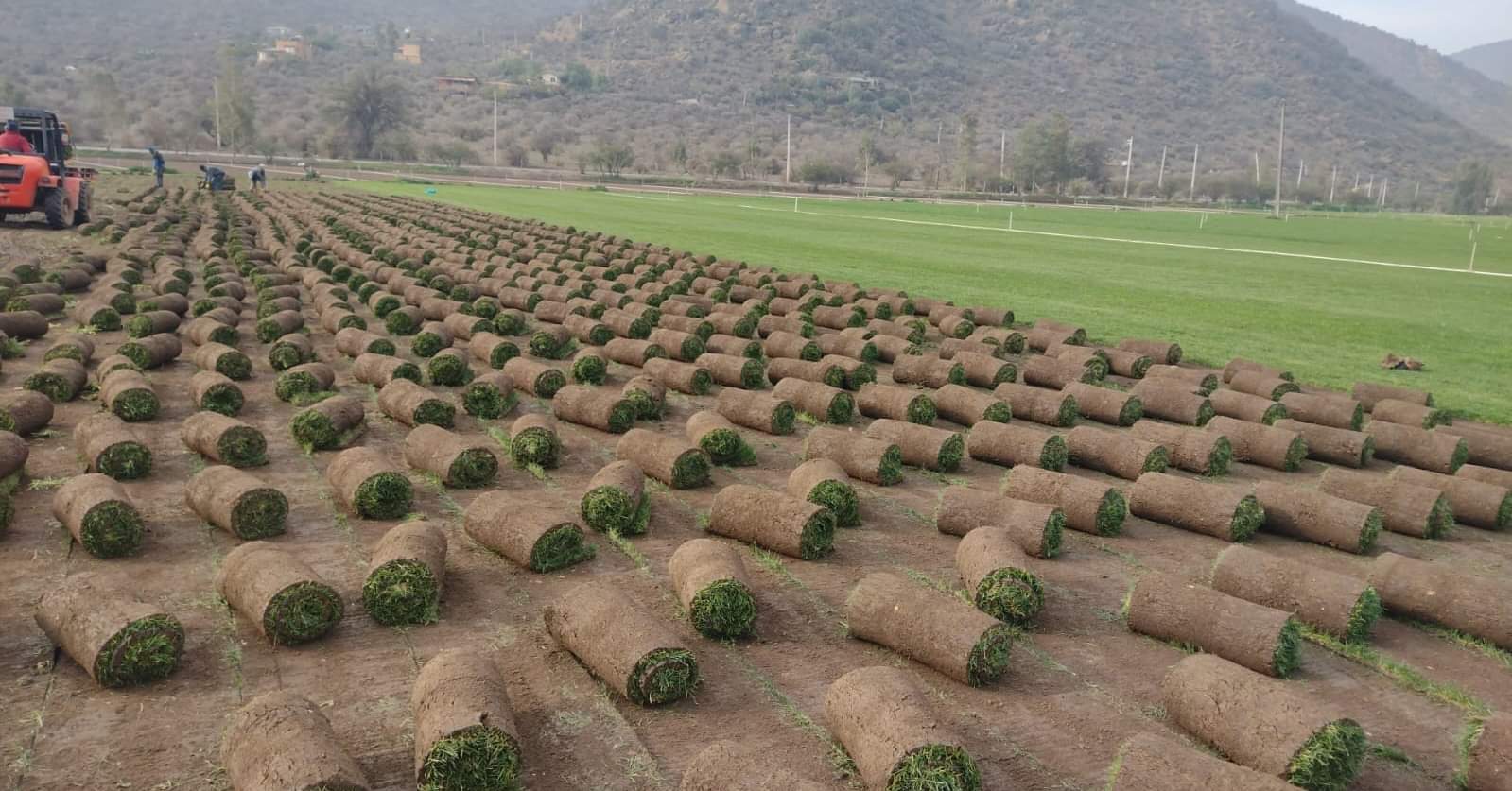 Se vende pasto... - Se vende pasto natural en rollo S y J