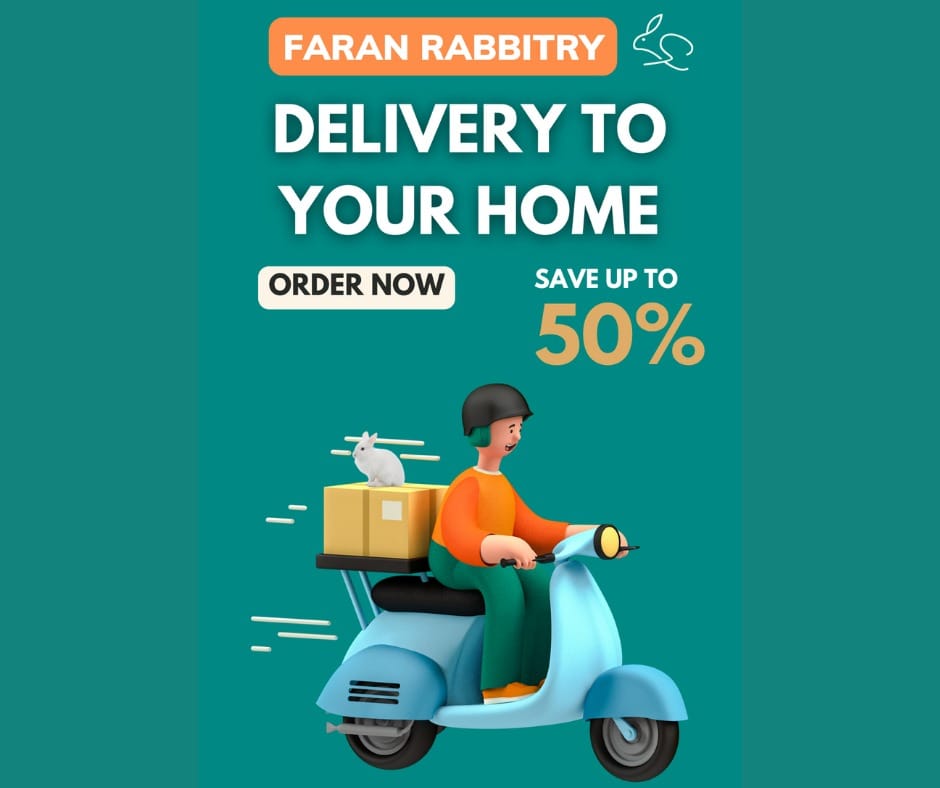 Faran Rabbitry | Islamabad