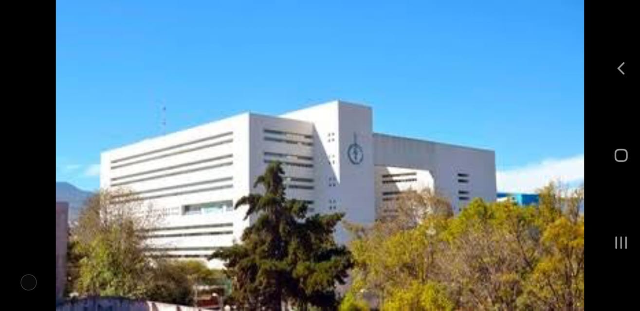 Videos Endoscopia Incan