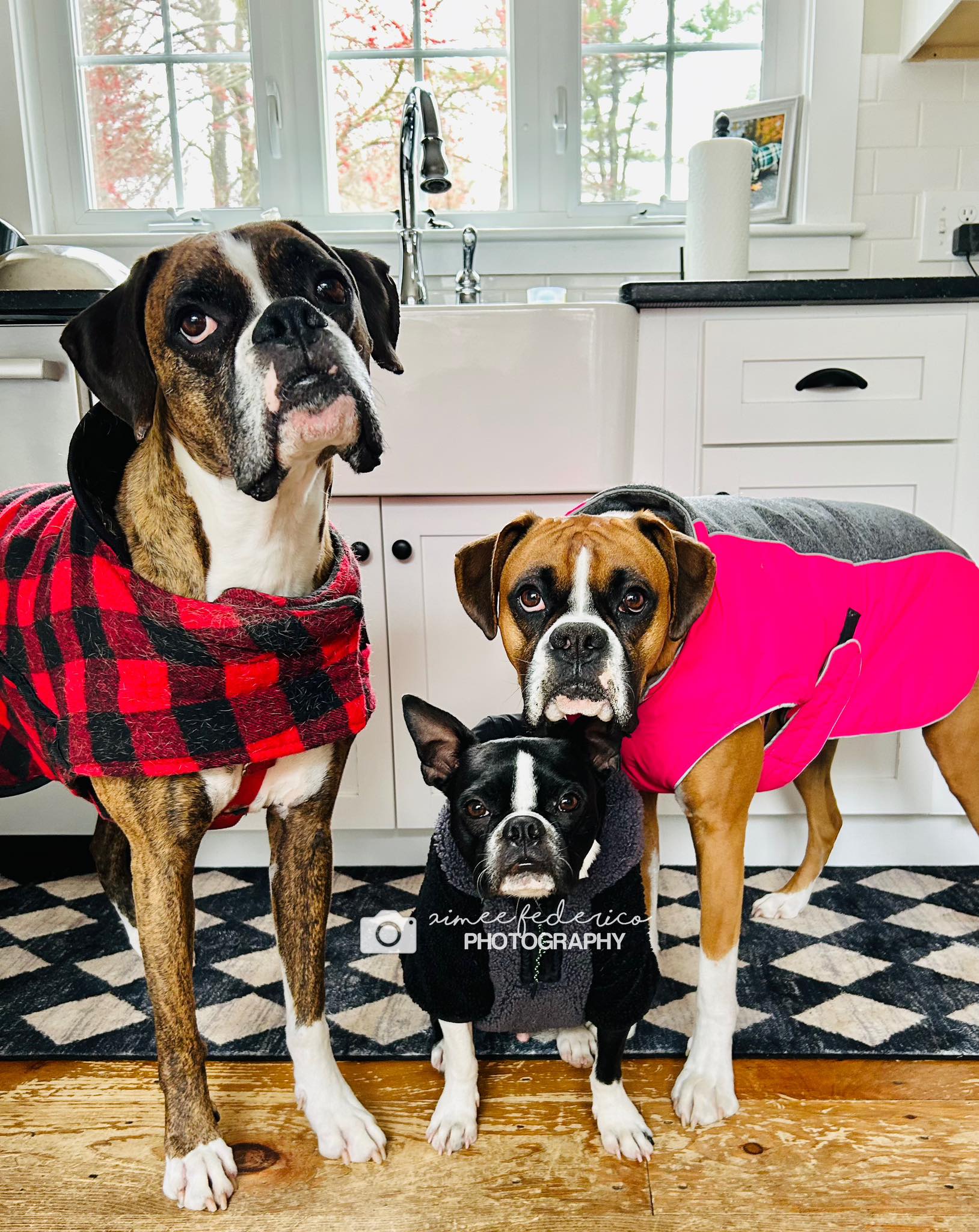 Put on your REAL coat. The big one. This is not the weather for 