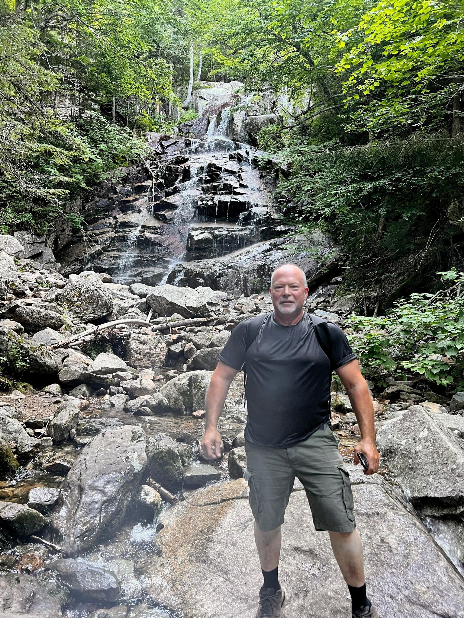 Hike the 4000 footers of NH! | Visiting the Grey mountain jays today on ...