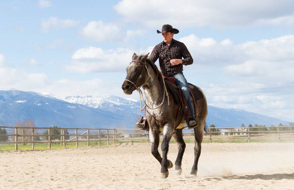 City Slicker Ranch, LLC - Horse Trainer - Corvallis, Montana - 77 ...