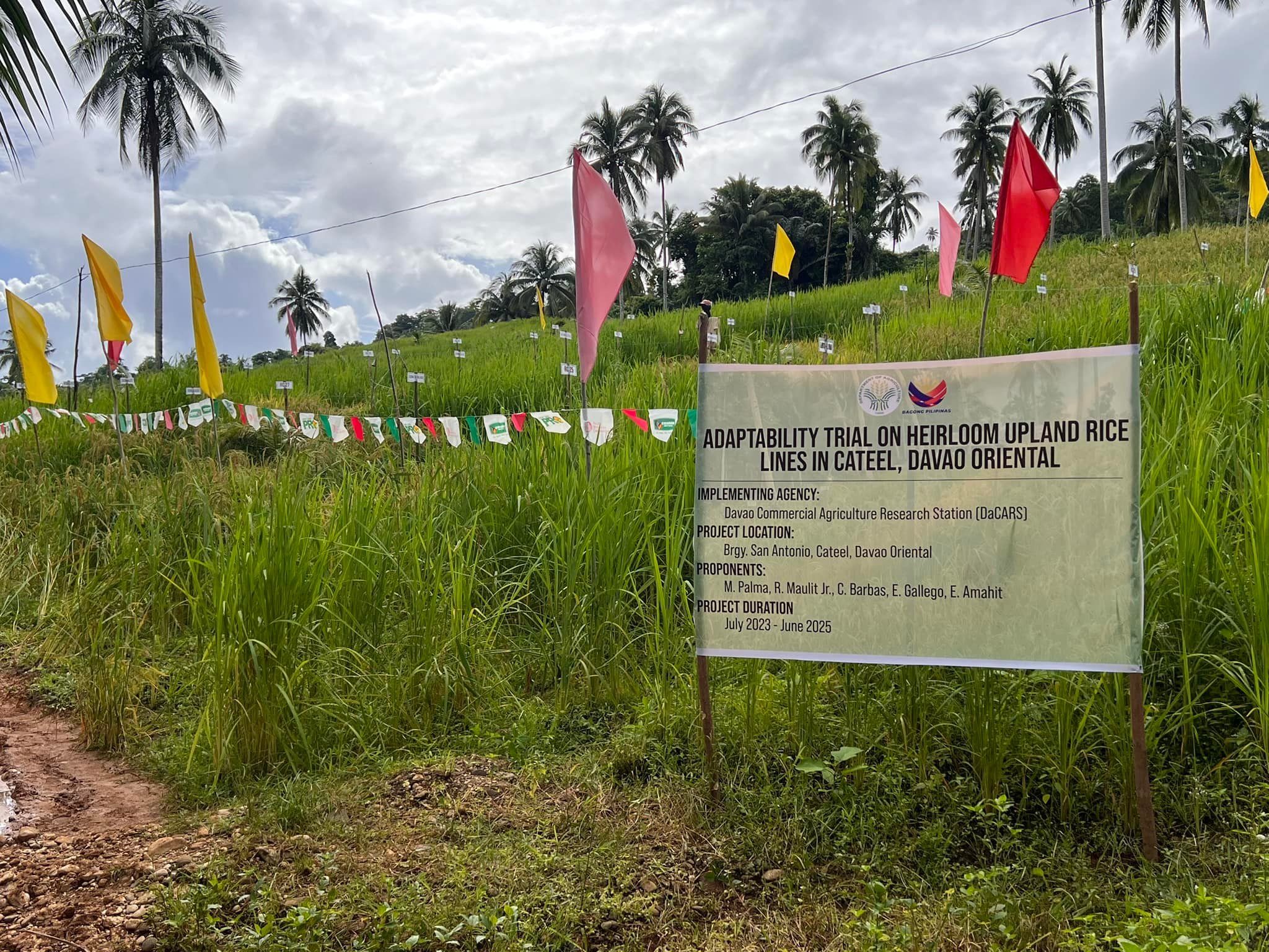 DaCARS Rice R4D Updates The Rice R4D team conducted preference analysis ...