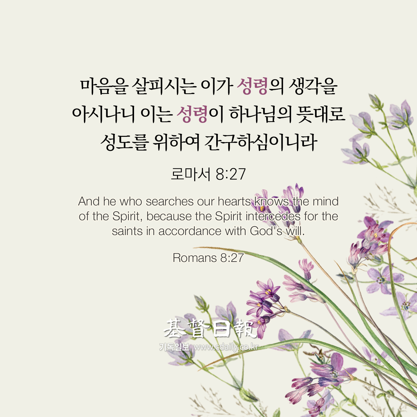 기독일보 - [매일 성구] 마음을 살피시는 이가 성령의 생각을 아시나니 이는 성령이 하나님의 뜻대로... | Facebook