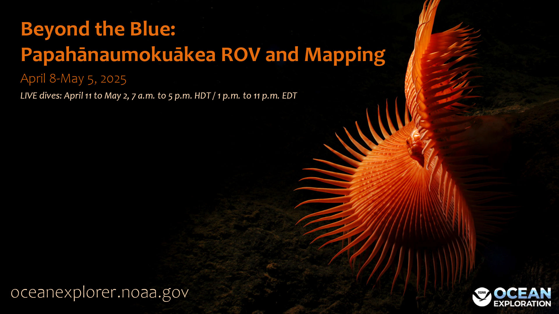 NOAA - Beyond the Blue: Papahānaumokuākea ROV and Mapping April 8-May 5 ...
