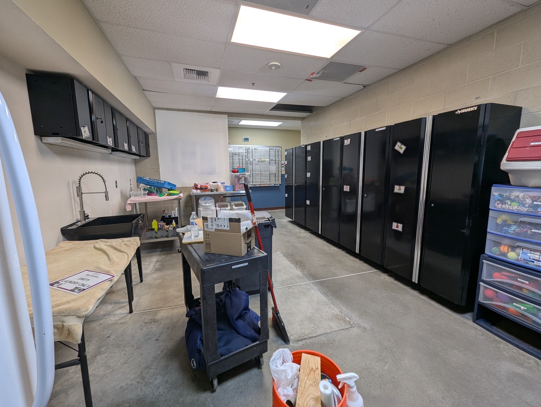 SPCA of Northern Nevada | Reno NV