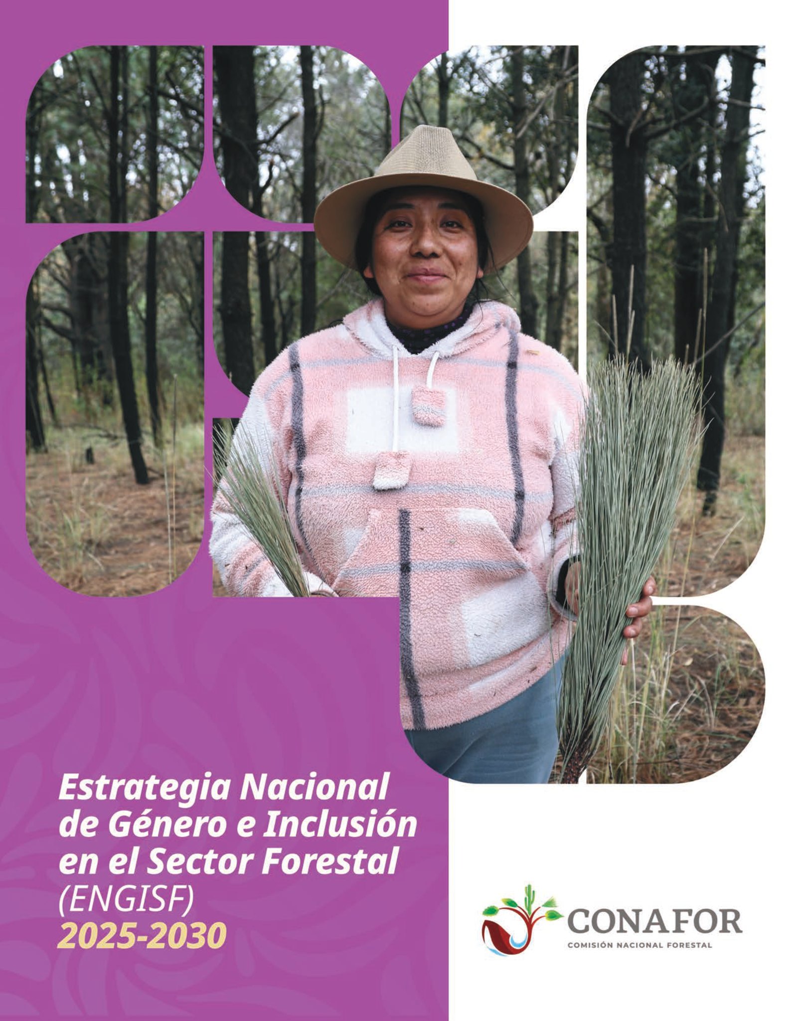 Comisión Nacional Forestal... - Comisión Nacional Forestal