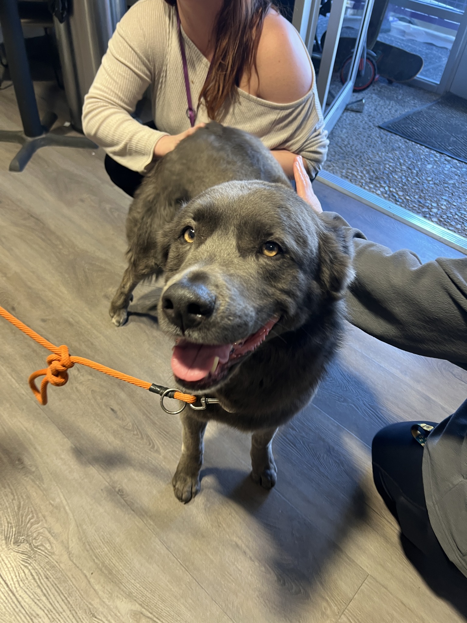 SPCA of Northern Nevada | Reno NV