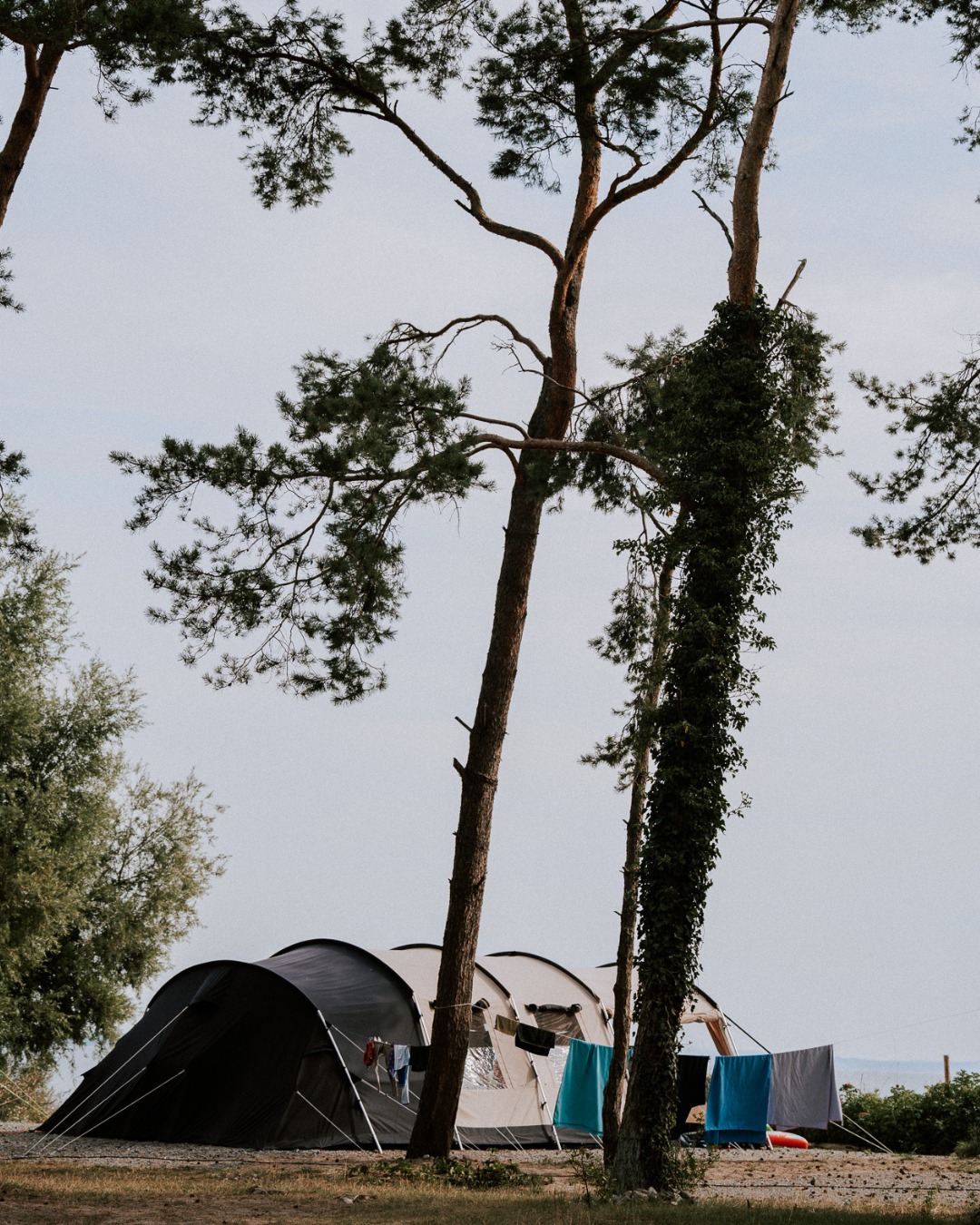adult baby schlafsack *good night* Frotte – Privatina Pick a Frame/Lens Color:Stealth Matte Black ANSI Z87.1+ (tactical) frame/Smoke Black lenses WoW SoD 4 BiS ford mustang 5.2L Based on the science