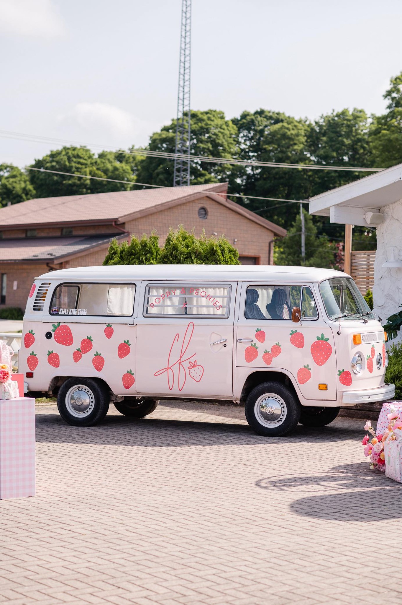 Fallon Farinacci | Toronto ON