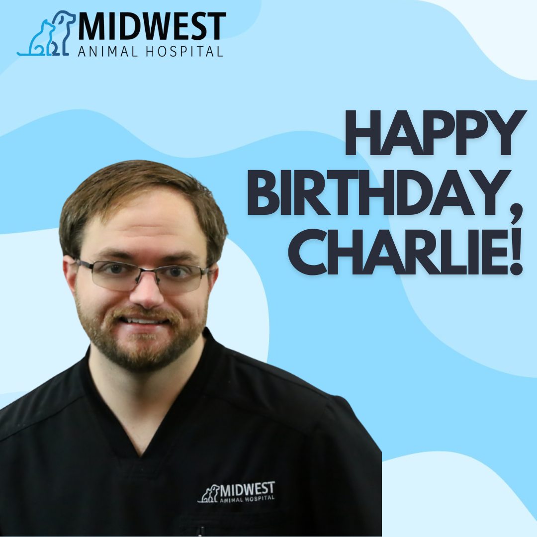 🎉🐾 Happy Birthday to our amazing... - Midwest Animal Hospital | Facebook
