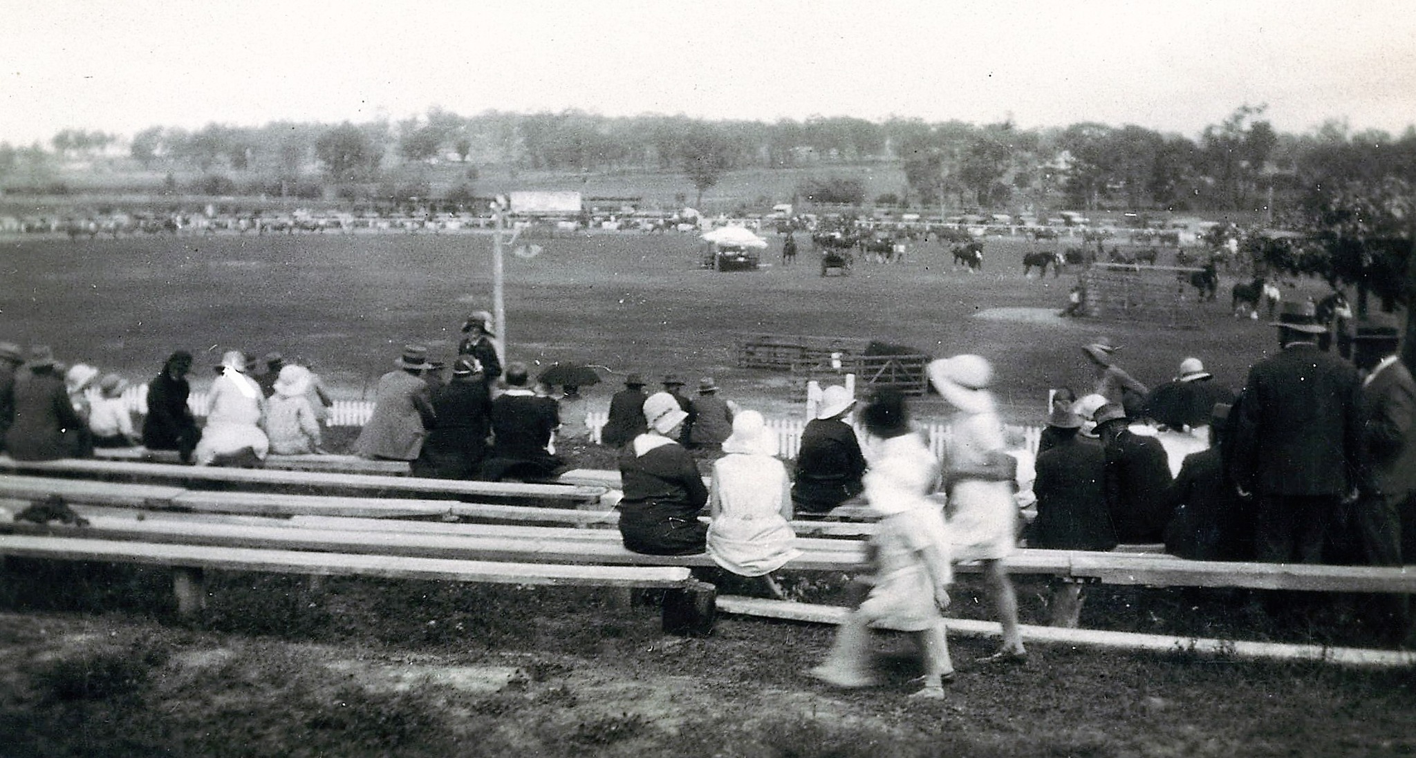 Warwick Show and Rodeo Society Inc - 𝐖𝐡𝐚𝐭 𝐢𝐬 𝐁𝐮𝐥𝐥 𝐑𝐢𝐝𝐢𝐧𝐠? 𝘉𝘶𝘭𝘭 𝘳𝘪𝘥𝘪𝘯𝘨 ...