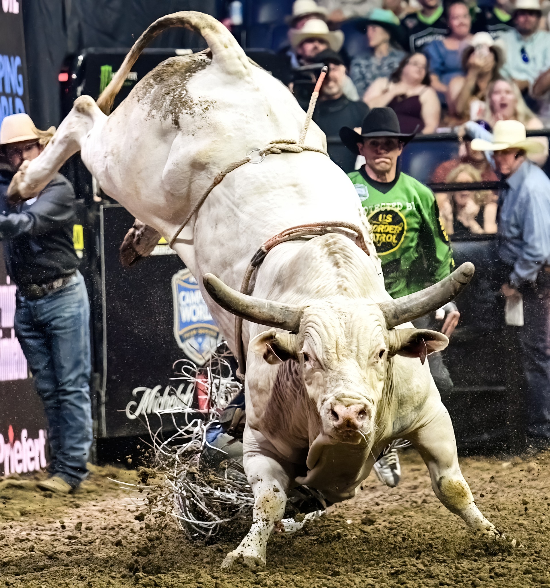 4D - 🏇🤠 Who Wants to Be the REALTOR of the RODEO? 🤠🏇 The Alabama ...