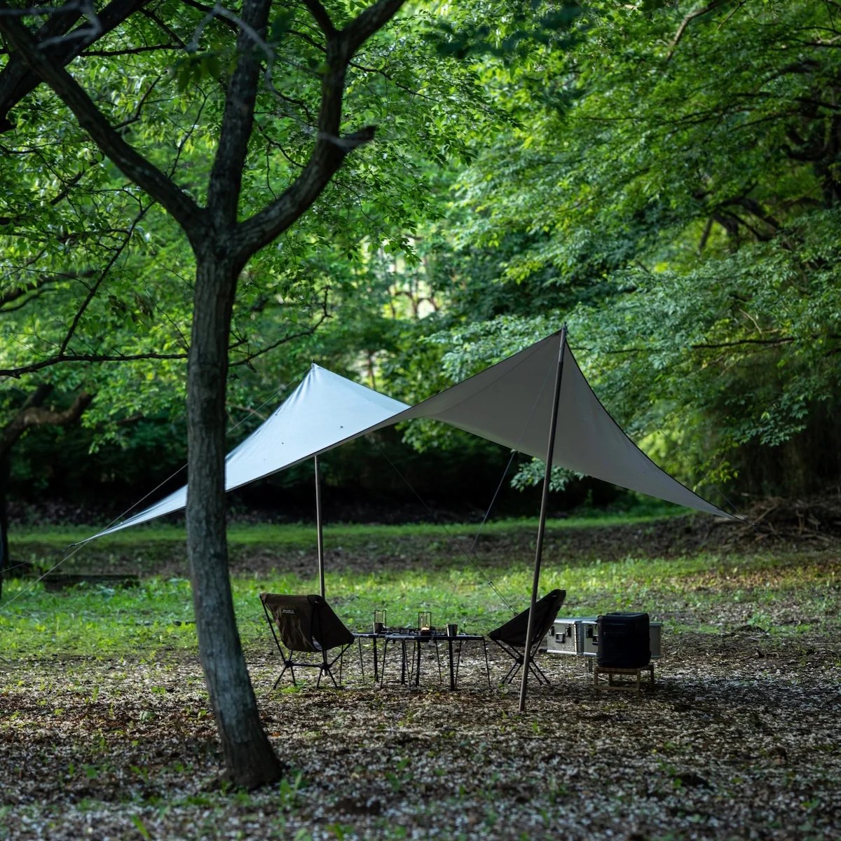 TARPtoTARP の TARP WING <<< ราคา 22,500- รวมส่ง มัดจำ 7,500- รอบ