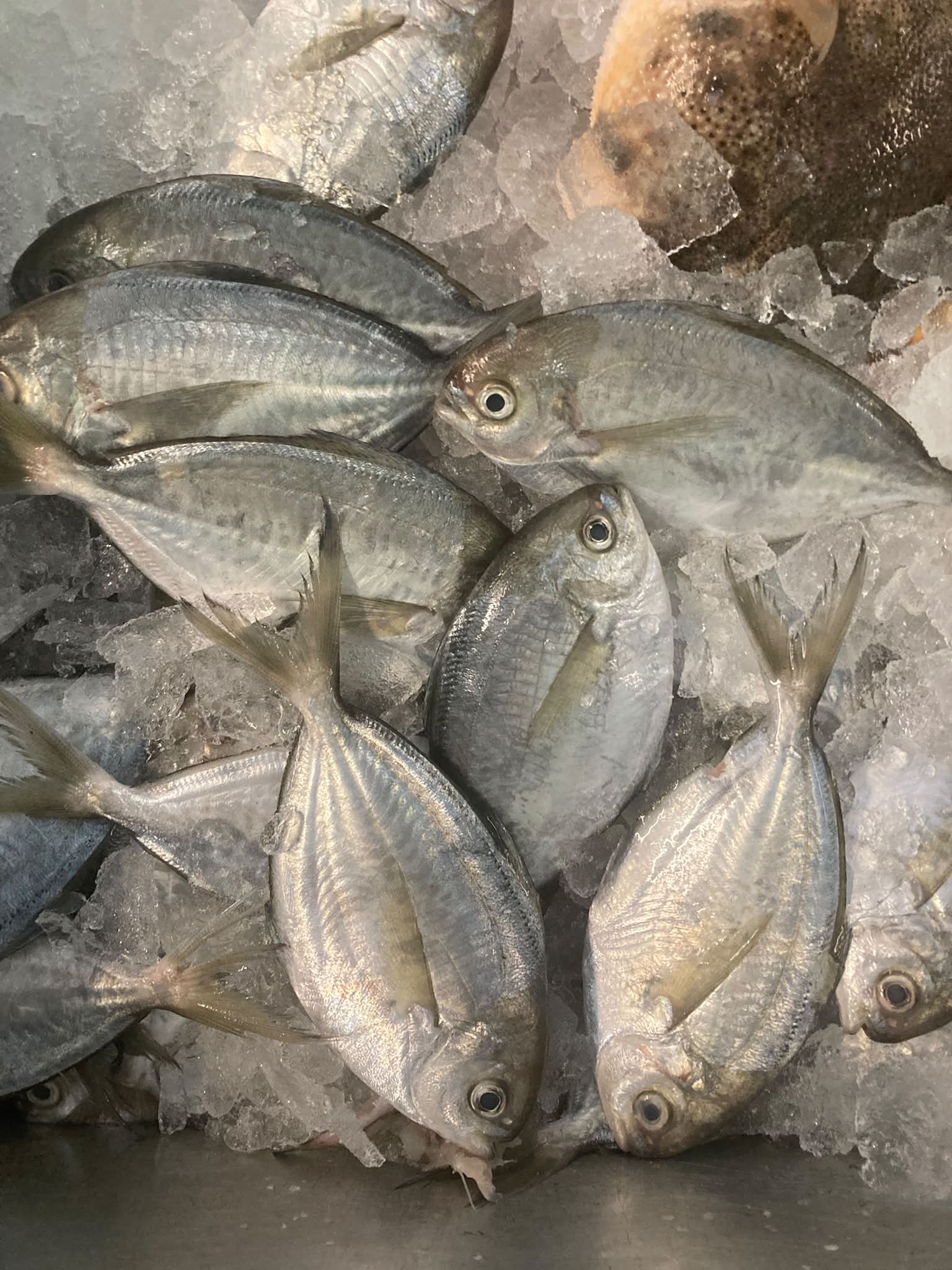The Belford Seafood Co-Op Fish Market
