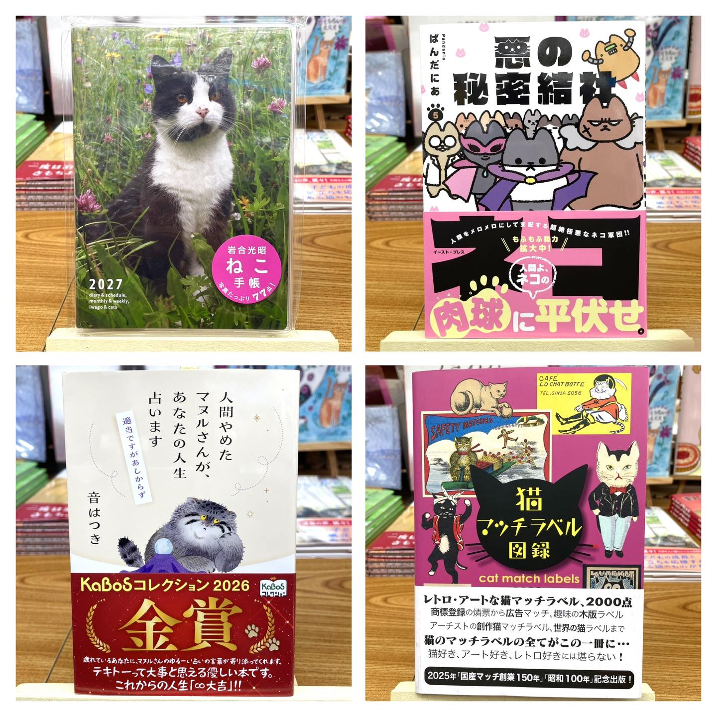 🐈新入荷・再入荷 猫本いろいろ📚 2027手帳『2027 岩合光昭 ねこ手帳