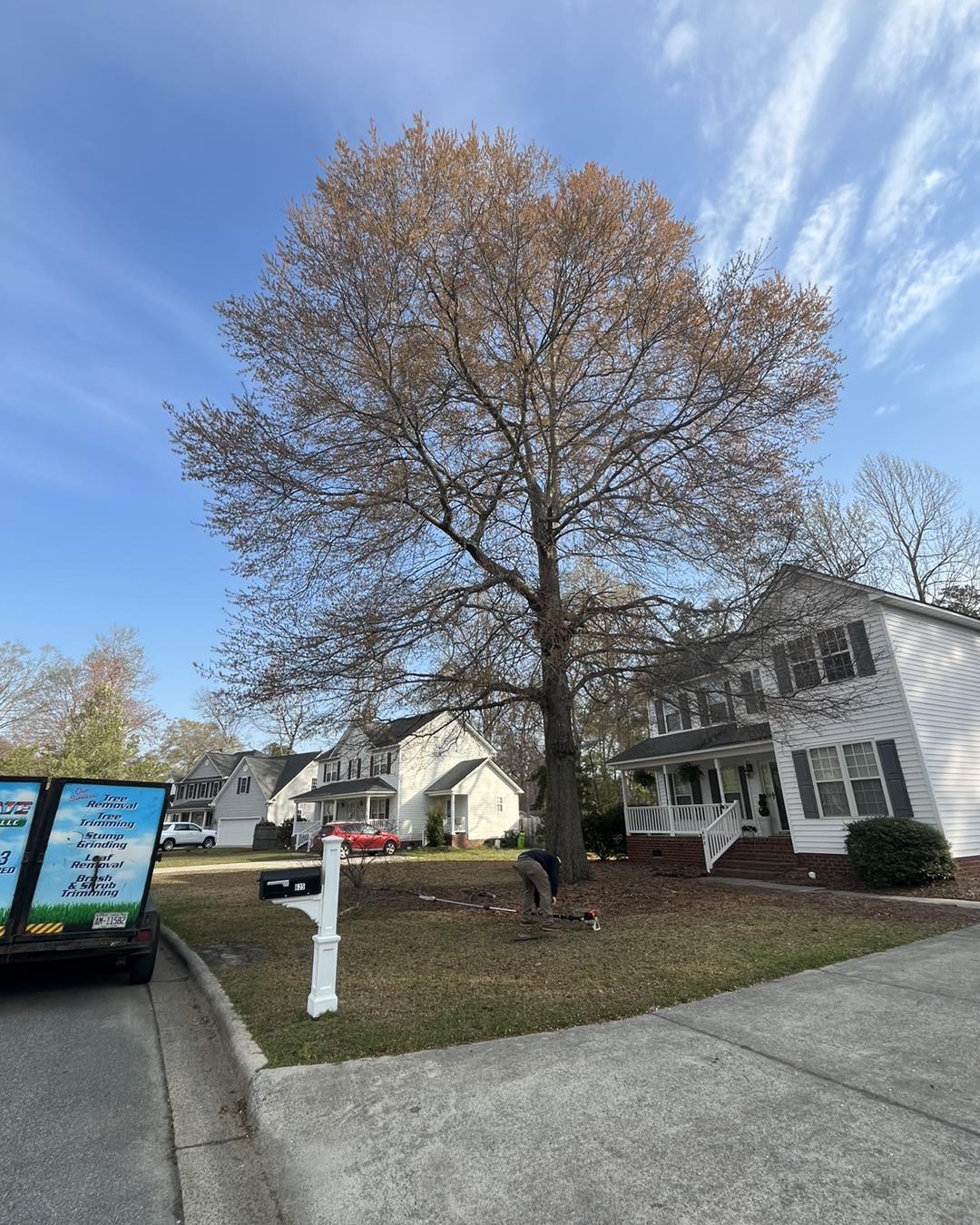 Ultimate Tree Service | Greenville NC