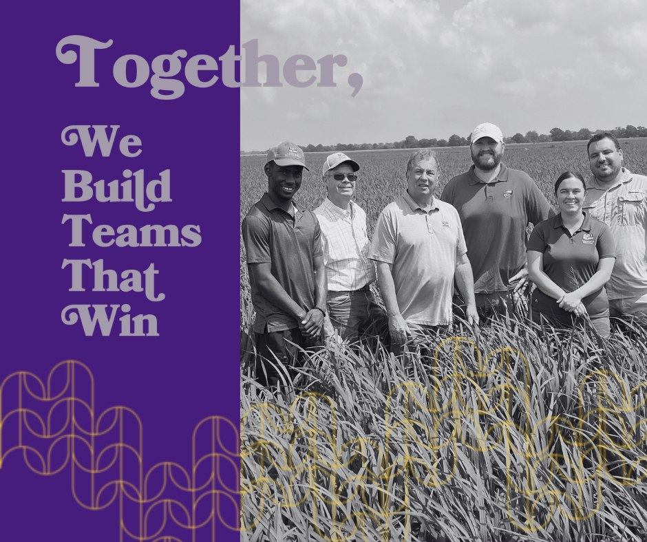 LSU AgCenter - Rice production contributes more than $700 million to ...