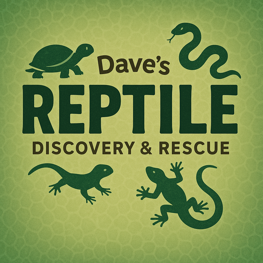 Dave's Reptile... - Dave's Reptile Discovery And Rescue