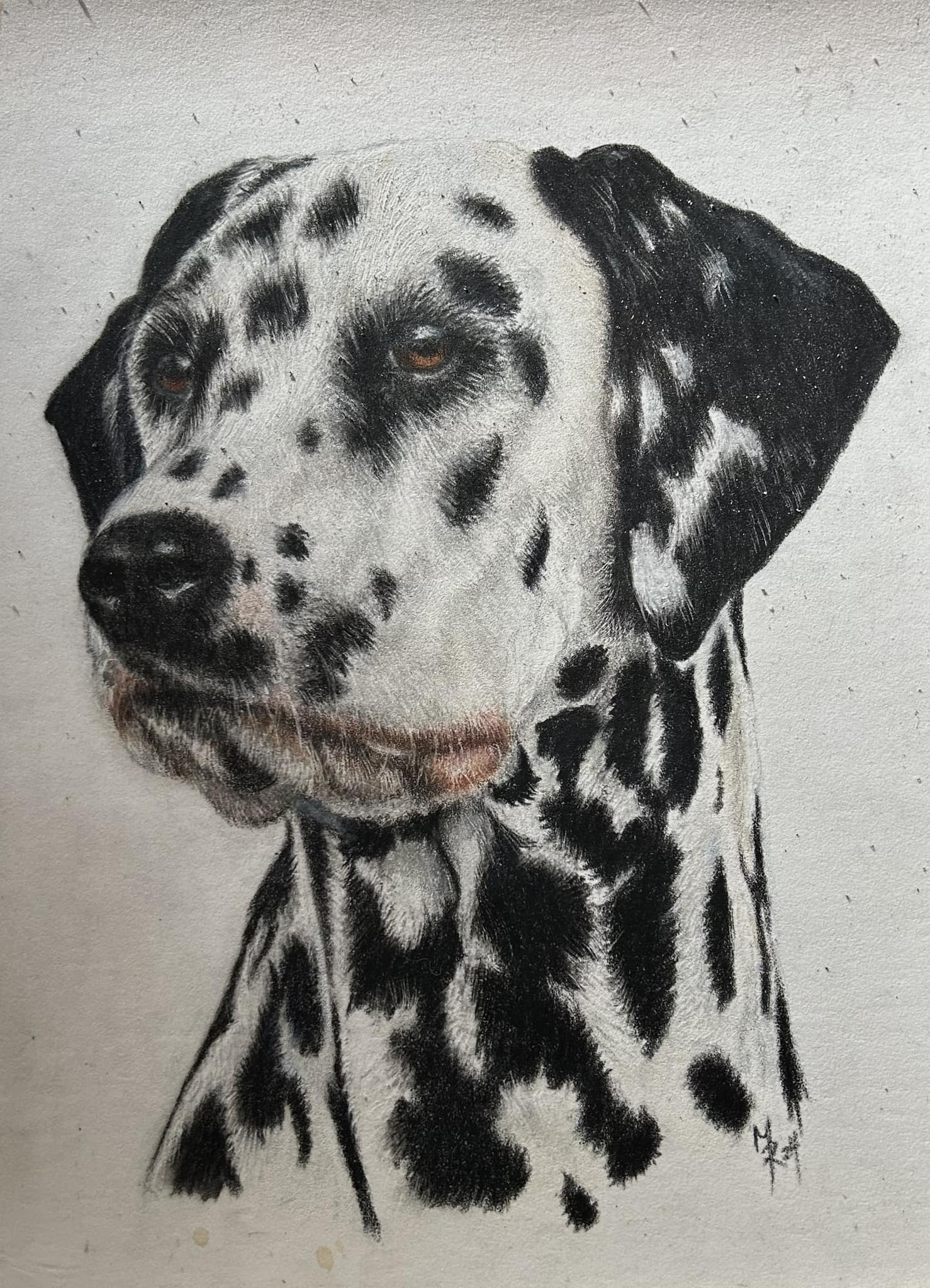 Mary Riley Fine Art