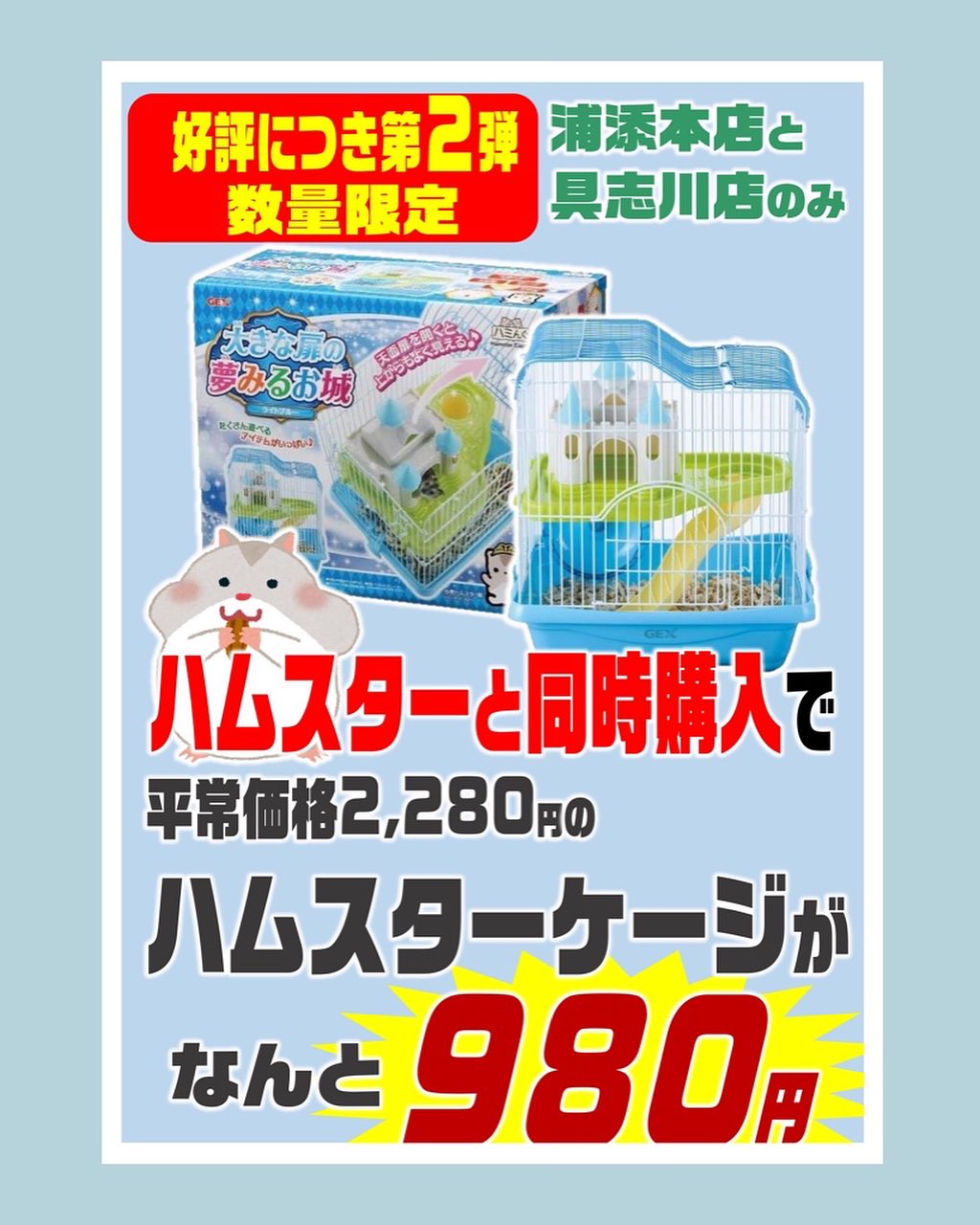 浦添本店・具志川店のペットコーナーより 10/1（火）よりハムスターと