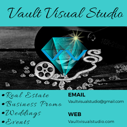 Vault Visual Studios