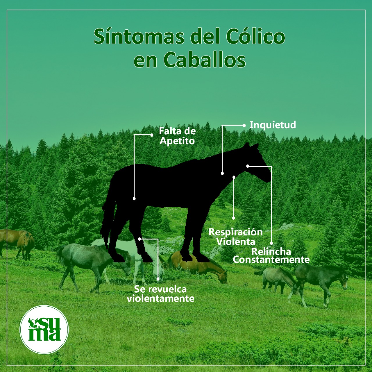 El cólico afecta a todo... - SUMA Productos Agropecuarios | Facebook