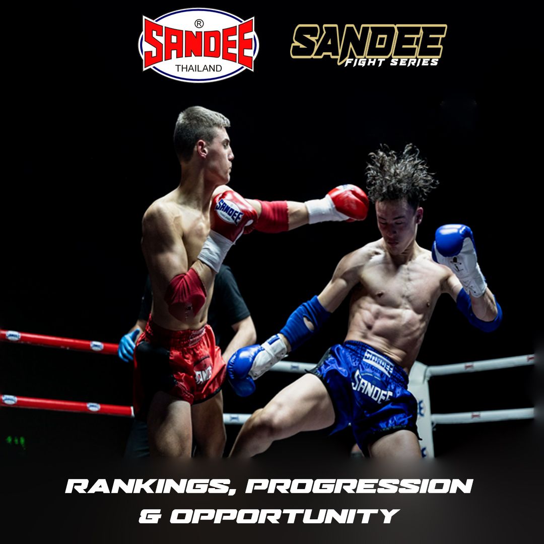 Sandee - Big update on our blog over at www.sandeeboxing.com - great ...