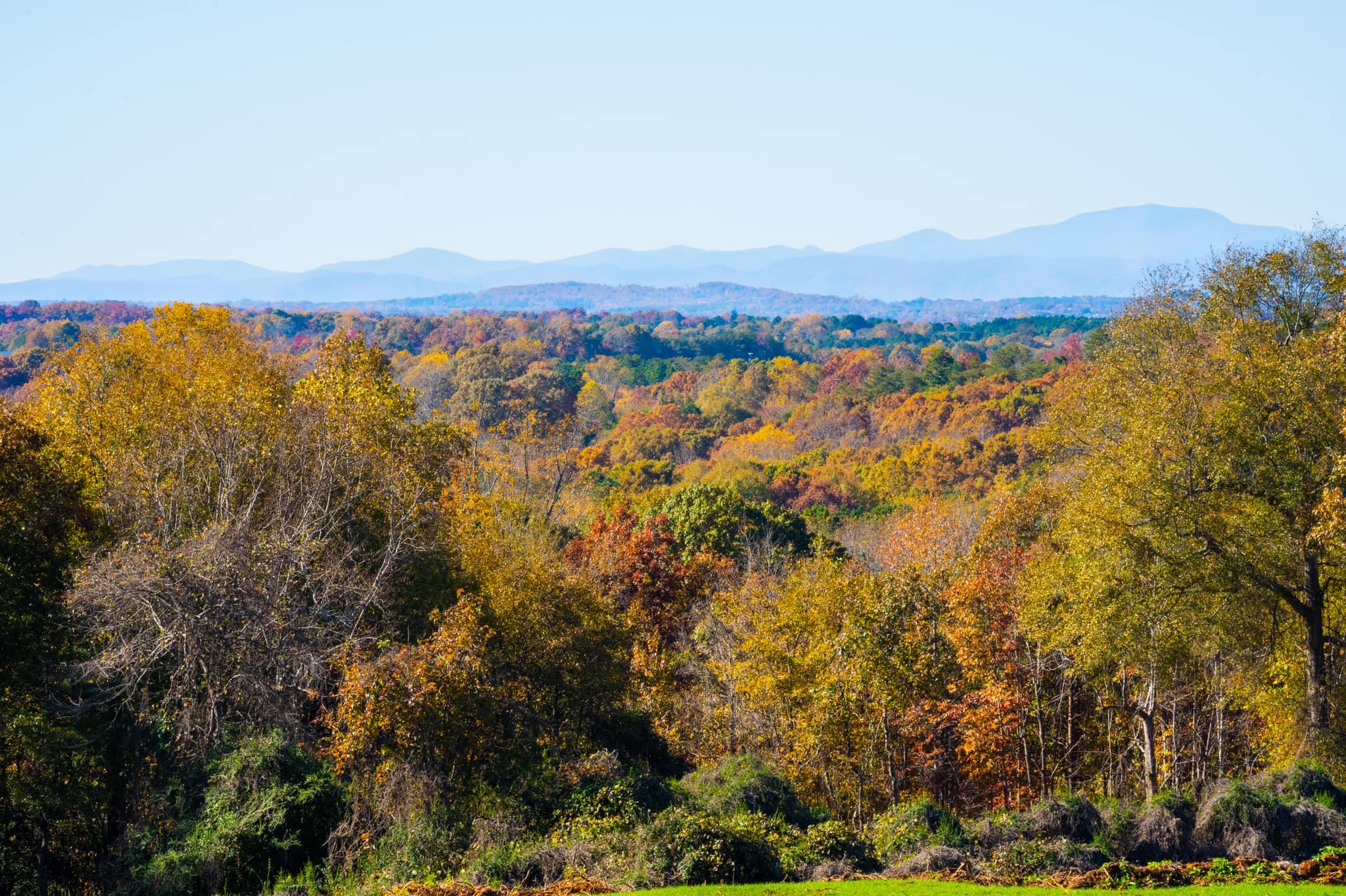 Longview Carolina | Easley SC
