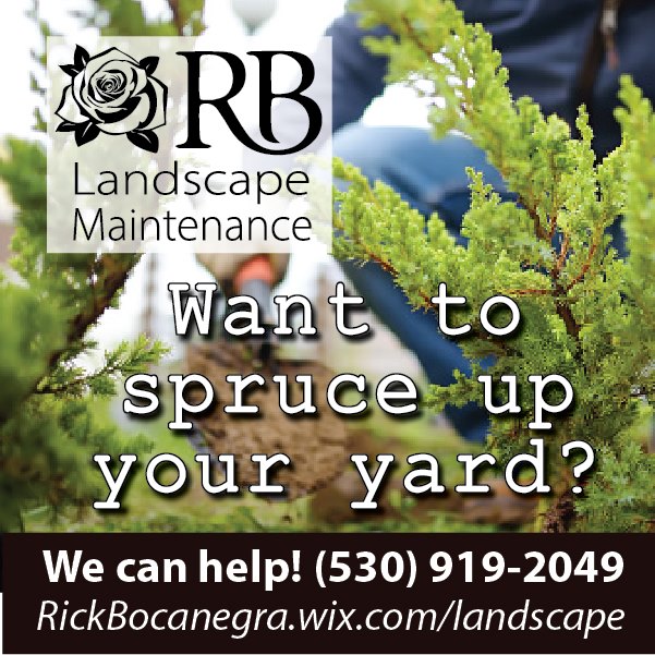 RB Landscape Maintenance | Placerville CA