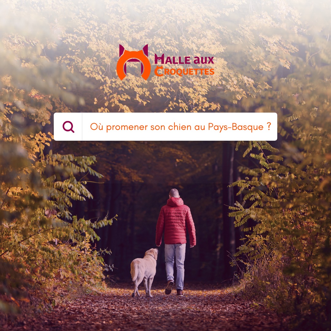 📍 Le Parc du Maharin à Anglet 🐶... - Halle aux croquettes | Facebook