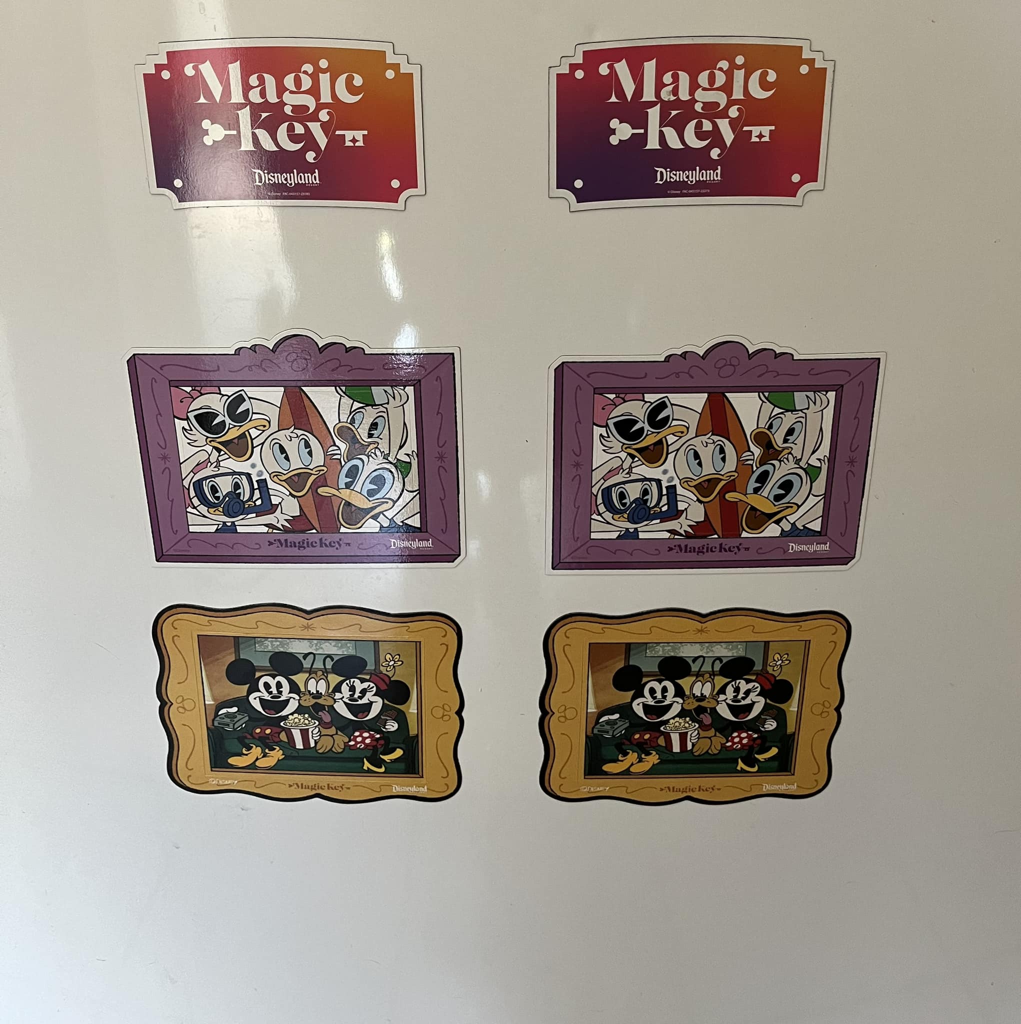 Magic Key Holders - Disneyland - Disney Fans | On someone else’s post ...