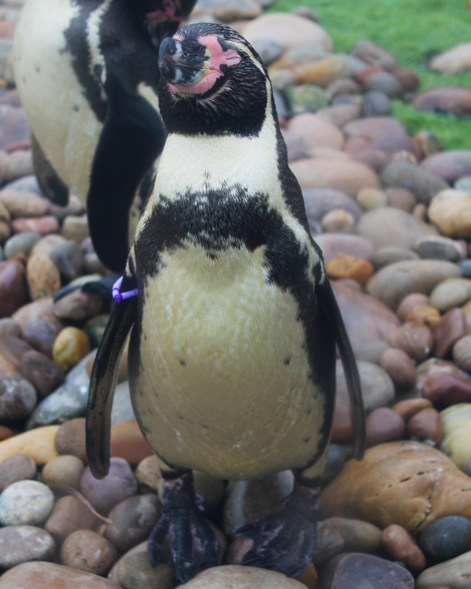Exploris Aquarium | Newtownards