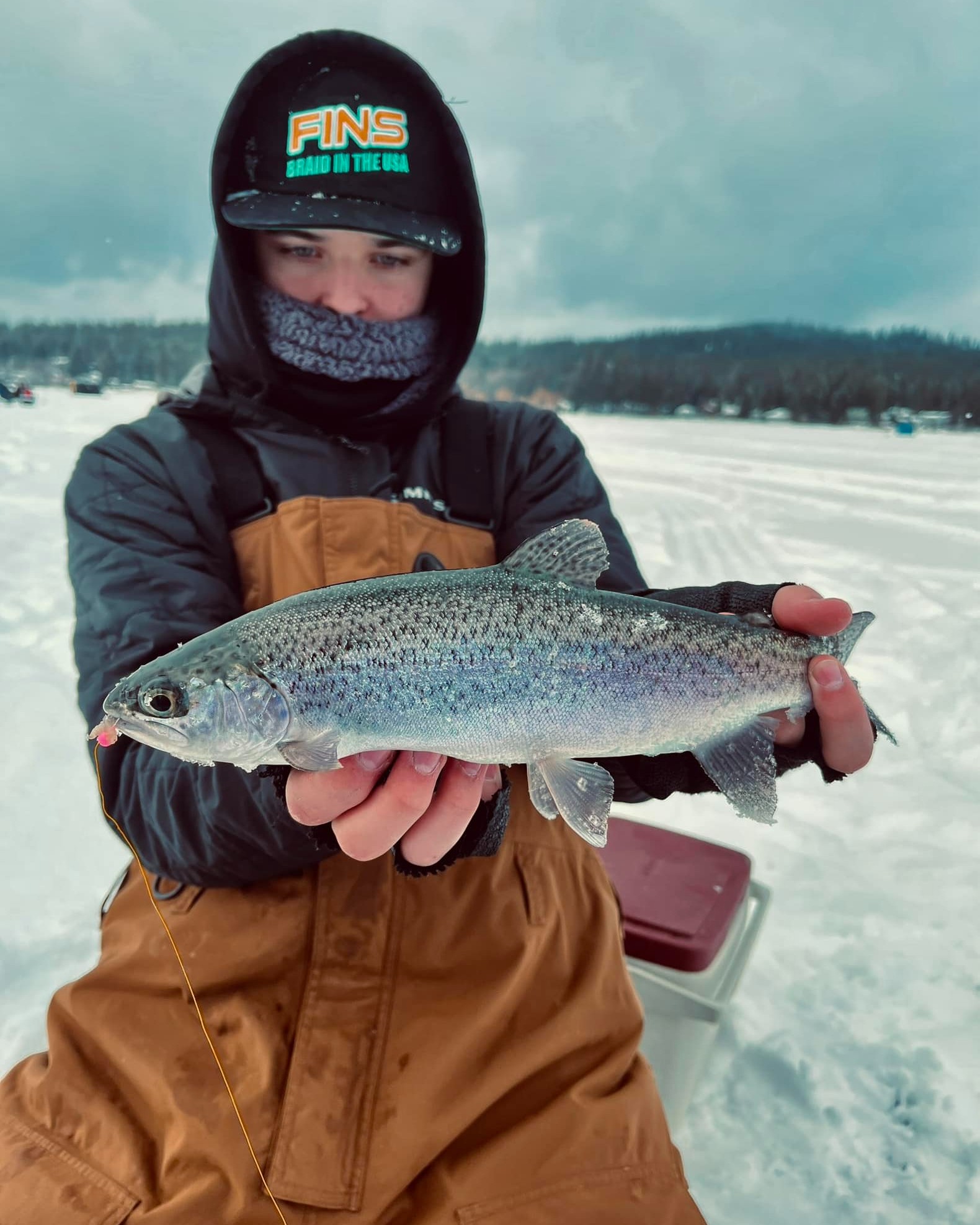 hummingbird fish finders ice fishing Humminbird: Baitcasting Fishing Reel making this flasher easy Daiwa Emblem Pro Surf Color:MF Frog