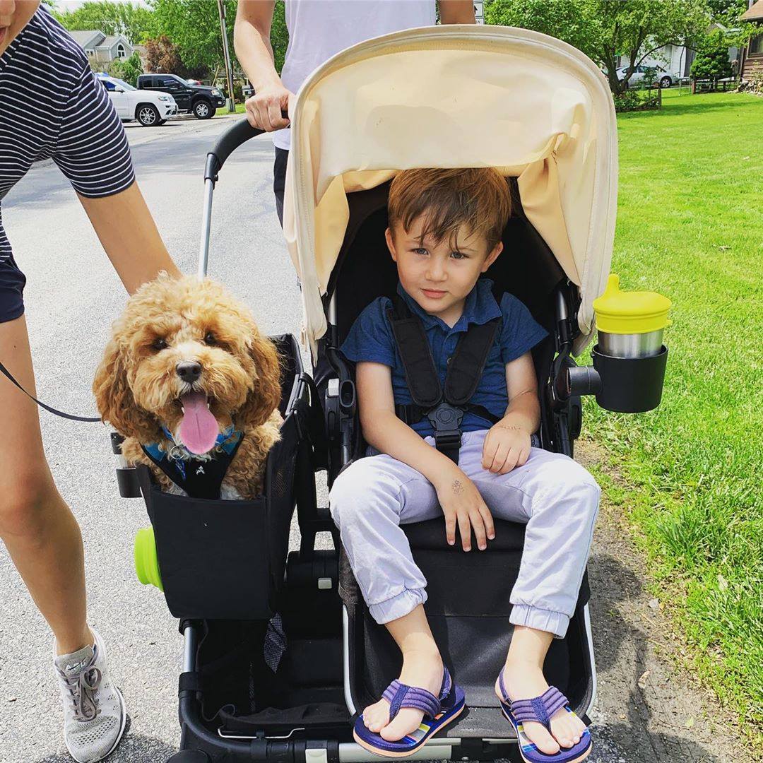 dog stroller 50 lbs Snagle Paw StrideMate MAX 220 lb Capacity Strollers for Large Dogs Bugaboo Fox Bugaboo Stroller Garmin Fenix 7 and a water Model Family:Trek 7.7