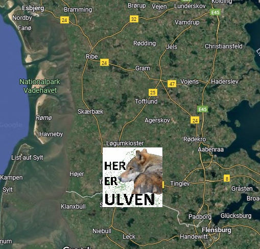 SØNDERJYLLAND 30.08.2025: Ulvepar... - Her er ulven i Danmark | Facebook