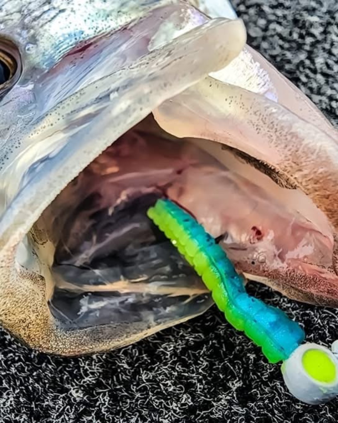 adding eyes to fish lure Soft Molded 3D Fishing  Easy Kasting Lure lost its eye? 