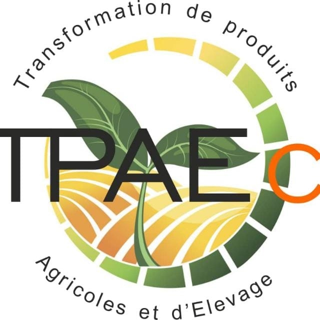 Tpae CI