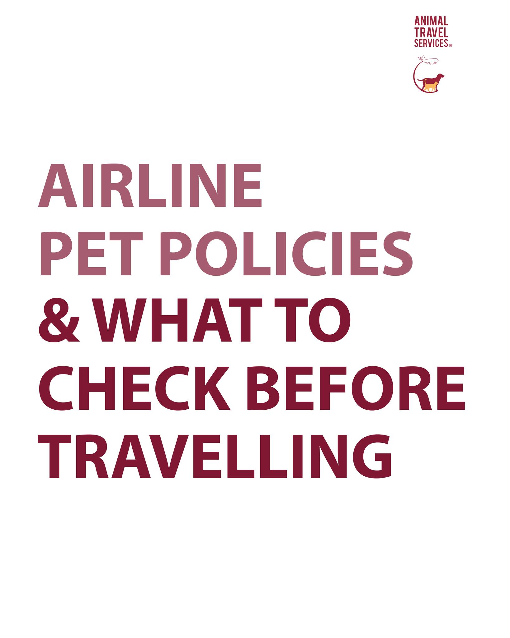 Animal - ️🐕 Not all airlines welcome pets the same way—know your ...