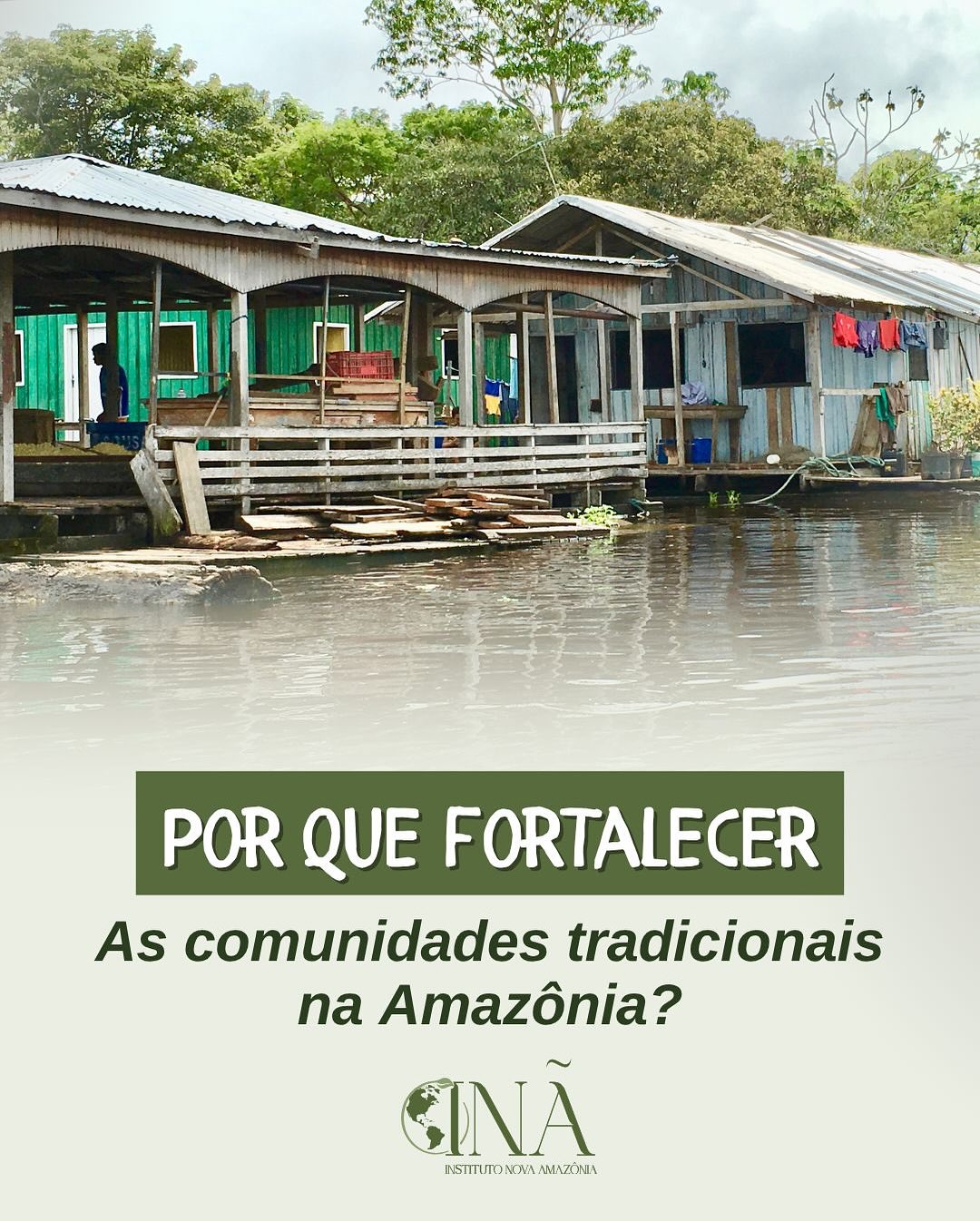 Instituto Nova Amazônia - INÃ