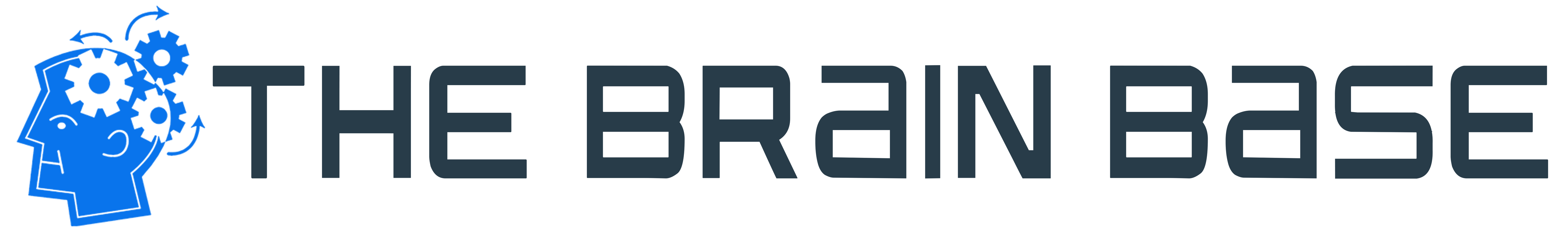 The Brain Base