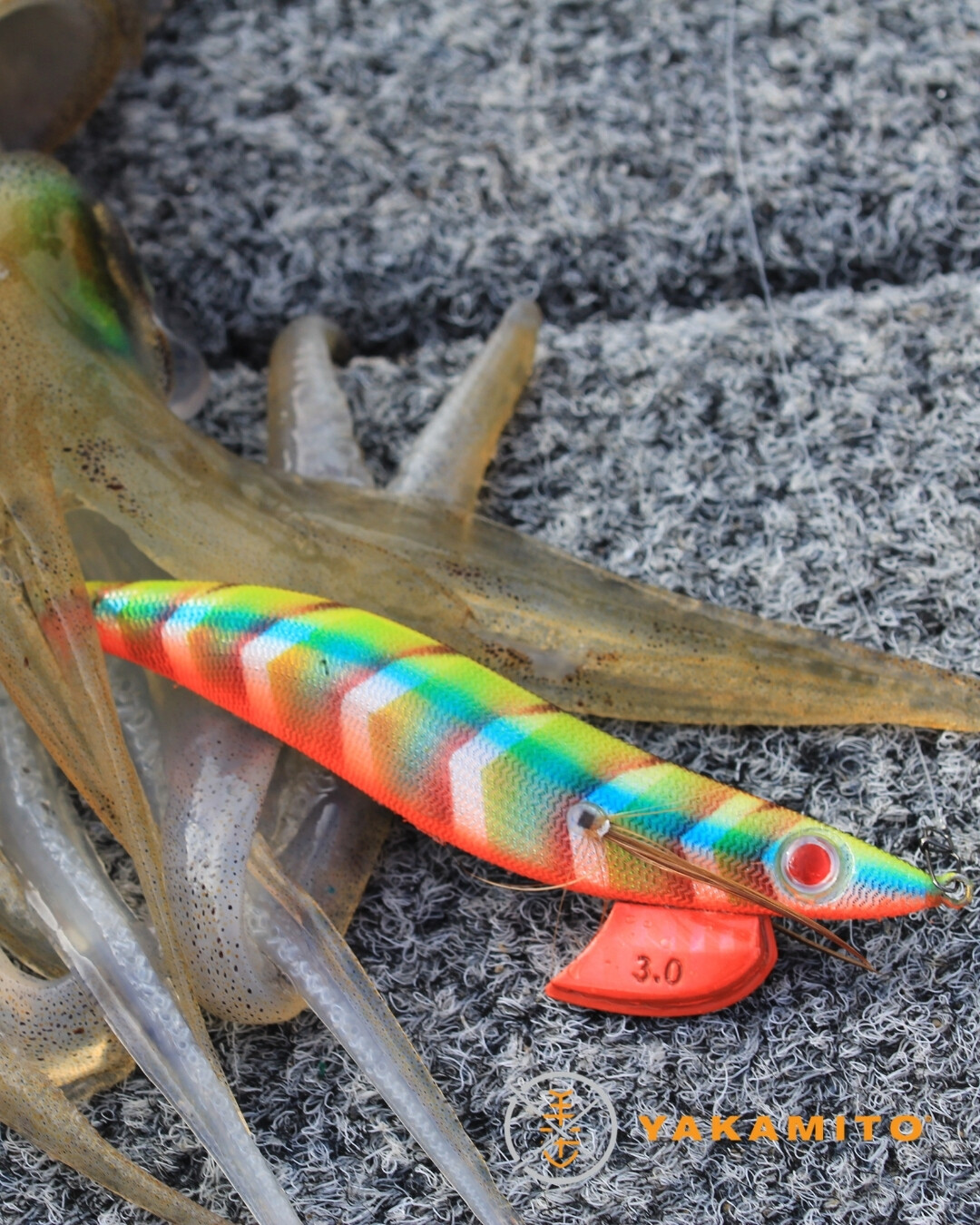 🦑 Squid... - Compleat Angler and Camping World Rockingham | Facebook