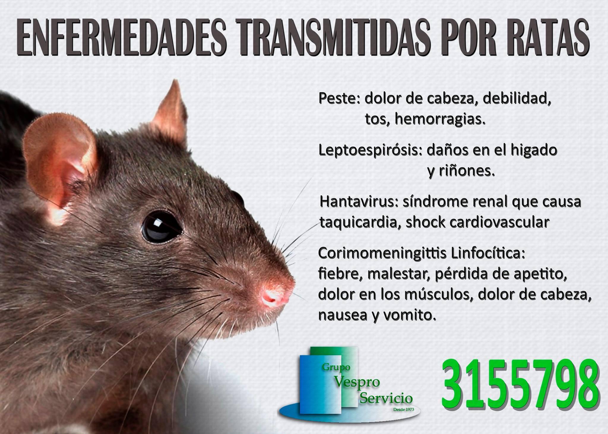 Te compartimos algunas enfermedades y... - Vespro Servicio Control de ...