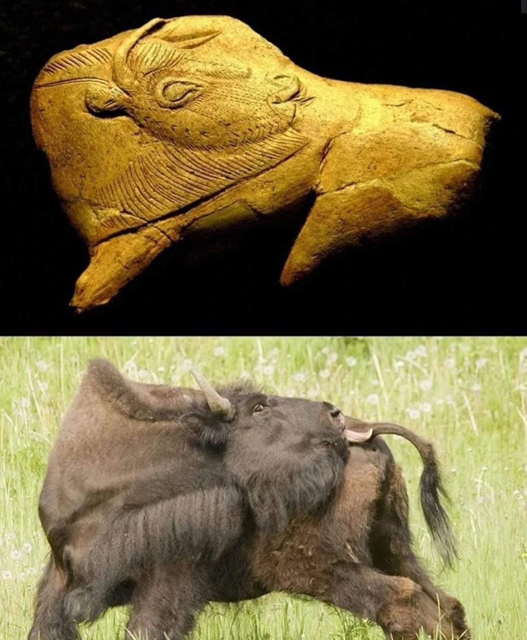 World - A 14,000-Year-Old Masterpiece: 